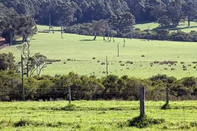 Fourth view of Homely rural property listing, Lot 1689 Dingo Flat Road, Denmark WA 6333