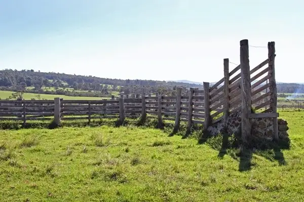 Seventh view of Homely rural property listing, Lot 1689 Dingo Flat Road, Denmark WA 6333