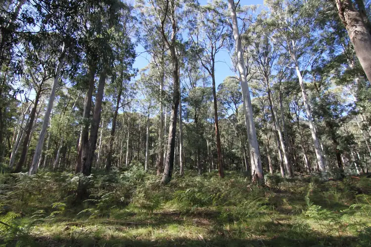 Lot 1 Dredge Hole Lane, Harrietville VIC 3741