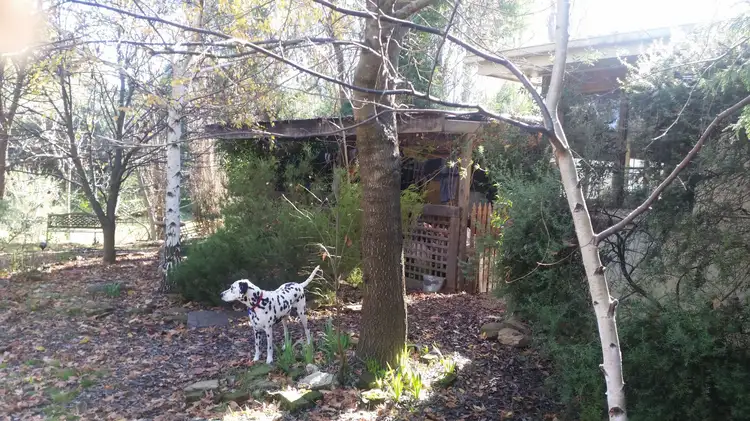 Fifth view of Homely house listing, 78 Main Rd, Campbells Creek VIC 3451