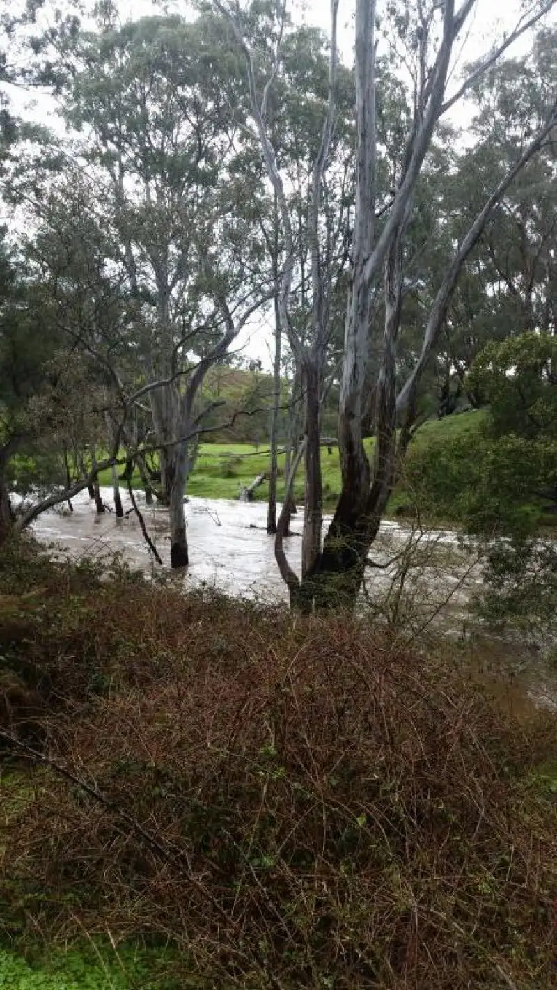 Main view of Homely rural property listing, 331 Drummond-Vaughan Rd, Glenluce VIC 3451