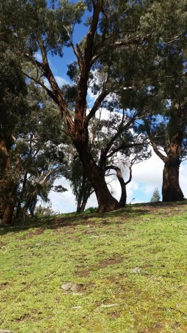 Second view of Homely rural property listing, 331 Drummond-Vaughan Rd, Glenluce VIC 3451