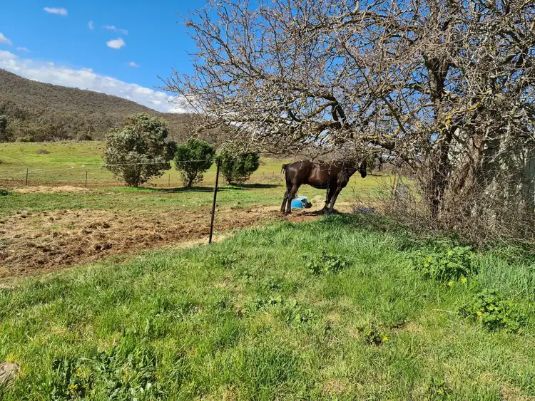 Third view of Homely rural property listing, 331 Drummond-Vaughan Rd, Glenluce VIC 3451