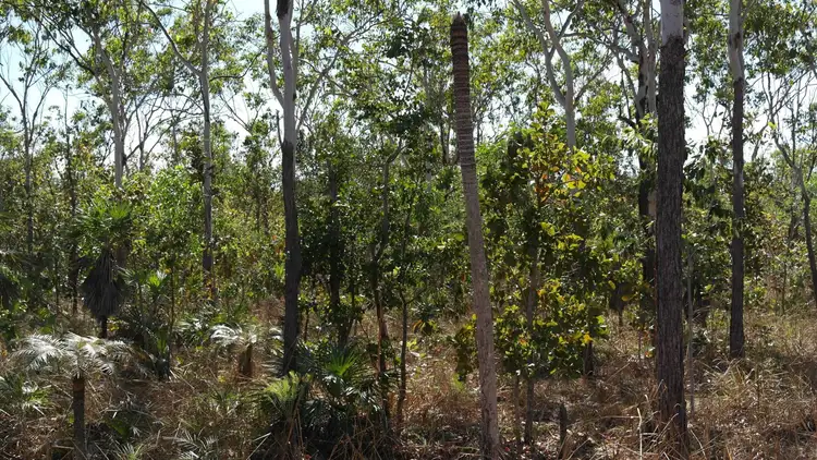 Seventh view of Homely rural property listing, Address available on request