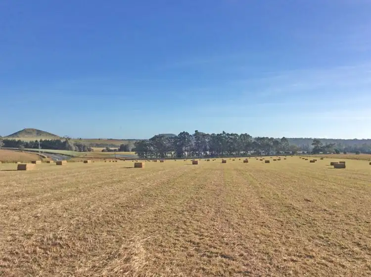 Third view of Homely rural property listing, 854 Malanda-Atherton Road, East Barron QLD 4883