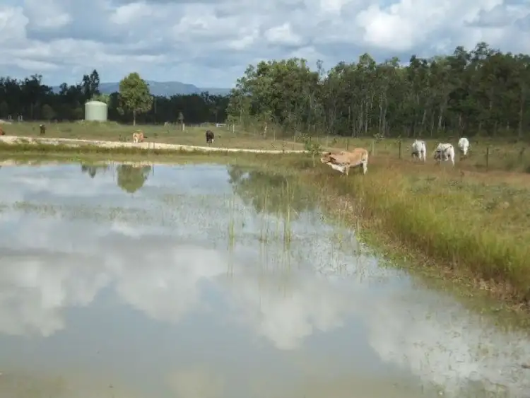 477 Gieseman Road, Black River QLD 4818