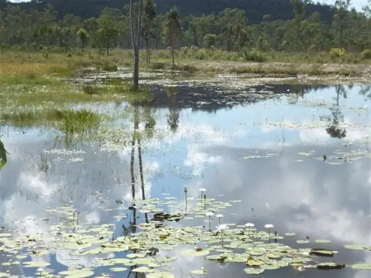 Second view of Homely land listing, 477 Gieseman Road, Black River QLD 4818