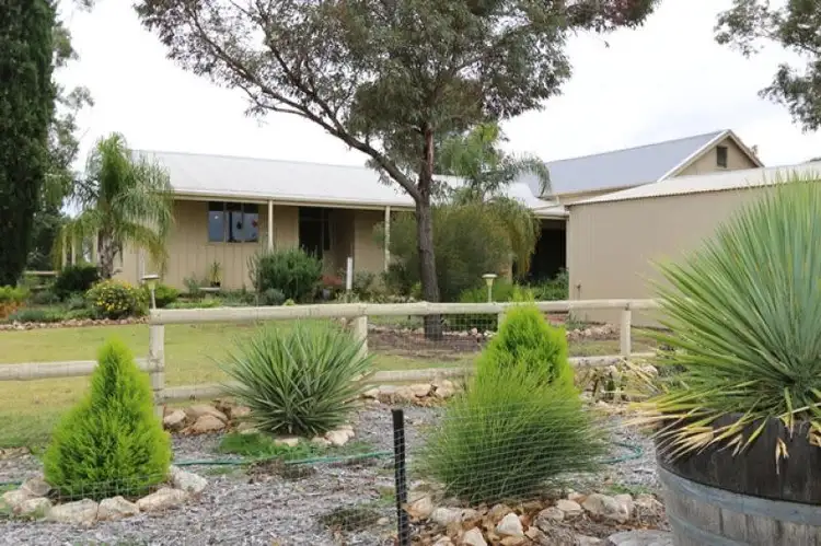 Second view of Homely rural property listing, 497 Morgan Cadell Road, Morgan SA 5320
