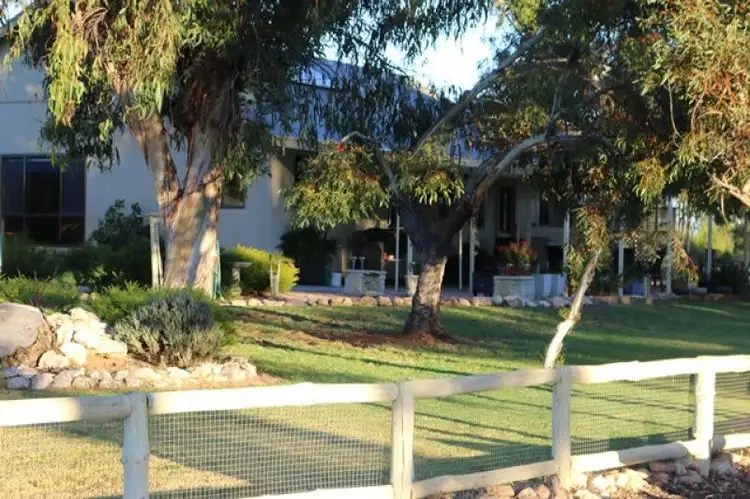 Third view of Homely rural property listing, 497 Morgan Cadell Road, Morgan SA 5320