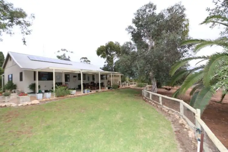 Fourth view of Homely rural property listing, 497 Morgan Cadell Road, Morgan SA 5320