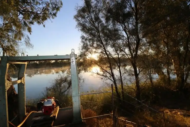 Fifth view of Homely rural property listing, 497 Morgan Cadell Road, Morgan SA 5320