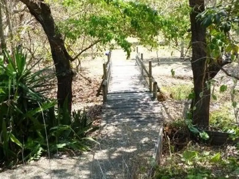 Main view of Homely house listing, 11 Muntalunga Drive, Nome QLD 4816