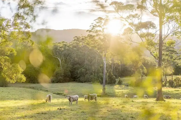 Fifth view of Homely rural property listing, 65 Horgans Lane, Martinsville NSW 2265