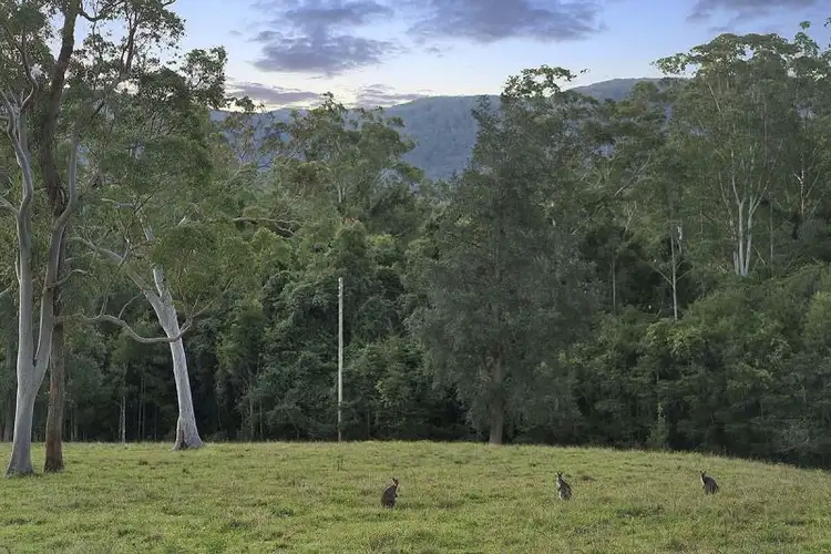 Sixth view of Homely rural property listing, 65 Horgans Lane, Martinsville NSW 2265