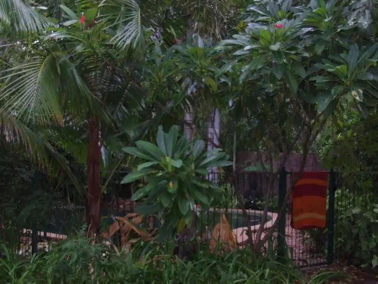 Second view of Homely rural property listing, 453 Crossing Falls Road, Kununurra WA 6743