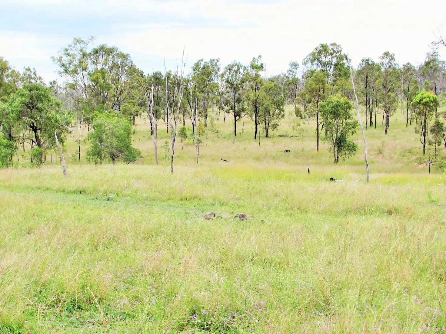 Main view of Homely rural property listing, . Shellytop Road, Durong QLD 4610