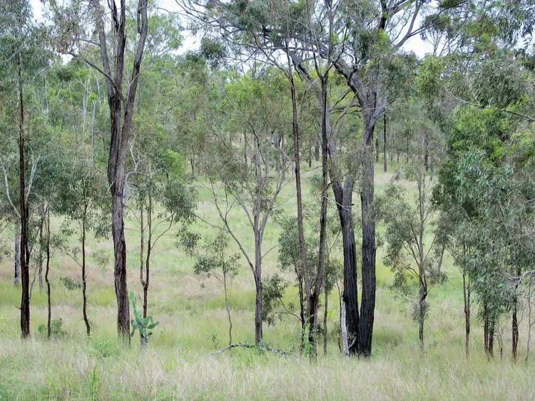 Third view of Homely rural property listing, . Shellytop Road, Durong QLD 4610