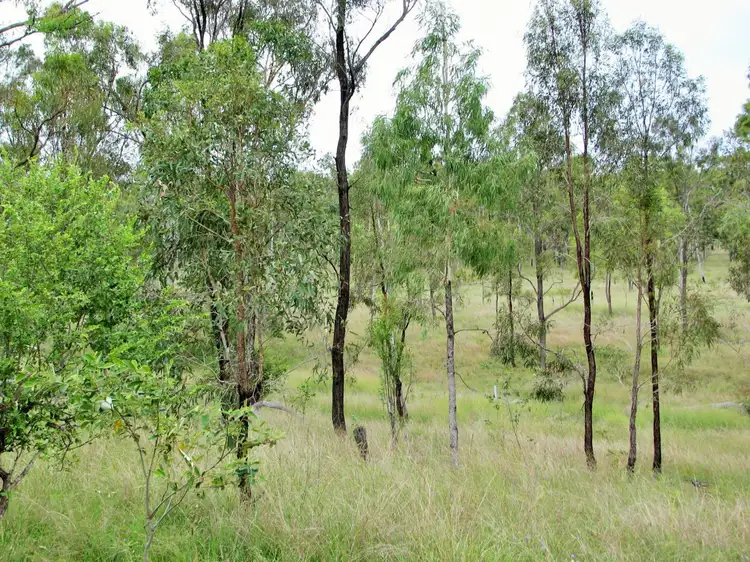 Sixth view of Homely rural property listing, . Shellytop Road, Durong QLD 4610