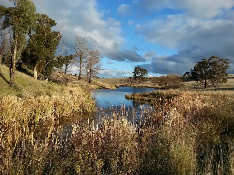 99 DOOLINS ROAD, Darraweit Guim VIC 3756