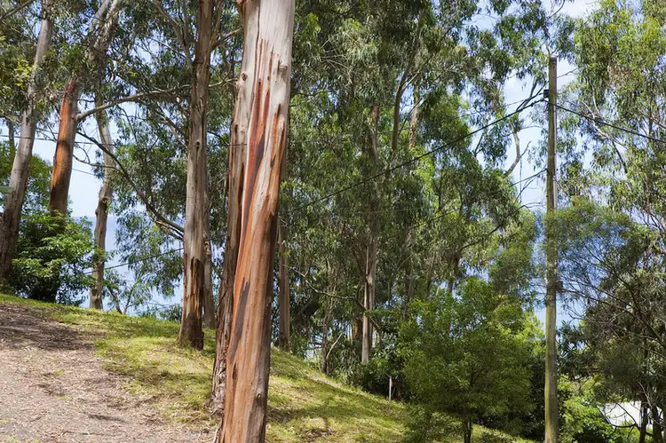 Second view of Homely house listing, 34 The Boulevard, Wye River VIC 3221
