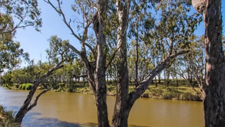 Sixth view of Homely house listing, 17 Crossley Drive, Narromine NSW 2821