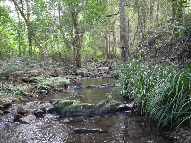 Main view of Homely land listing, 277 Petroi Road, Lower Creek NSW 2440