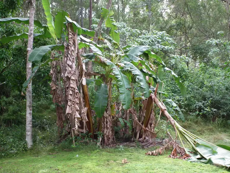 Second view of Homely land listing, 277 Petroi Road, Lower Creek NSW 2440