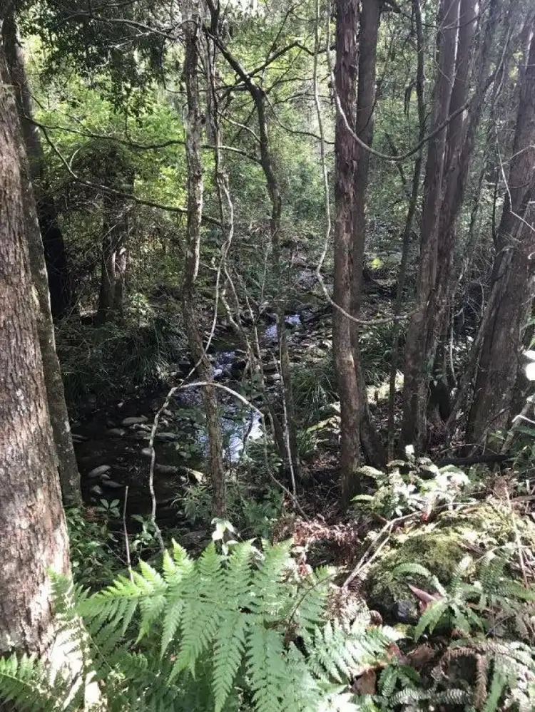 Sixth view of Homely land listing, 277 Petroi Road, Lower Creek NSW 2440