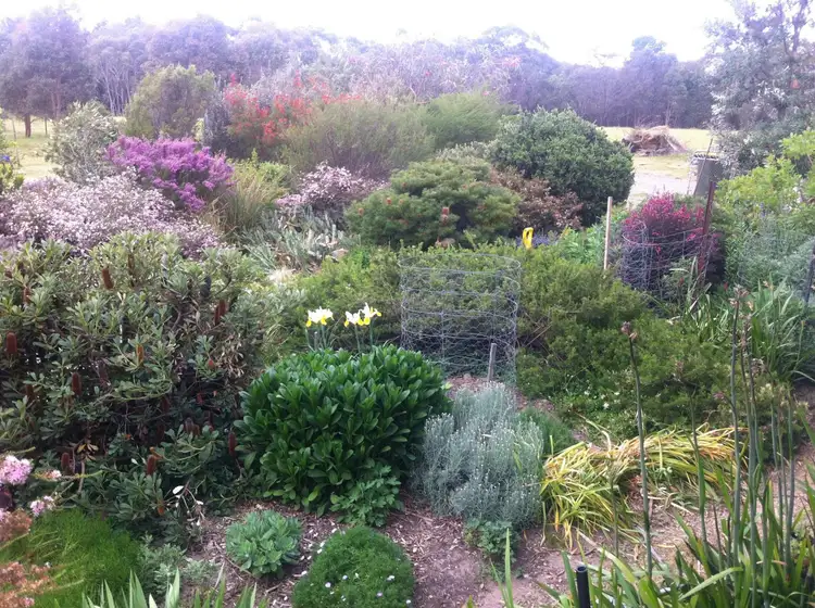 Seventh view of Homely house listing, 159 Snowgum Road, Dereel VIC 3352