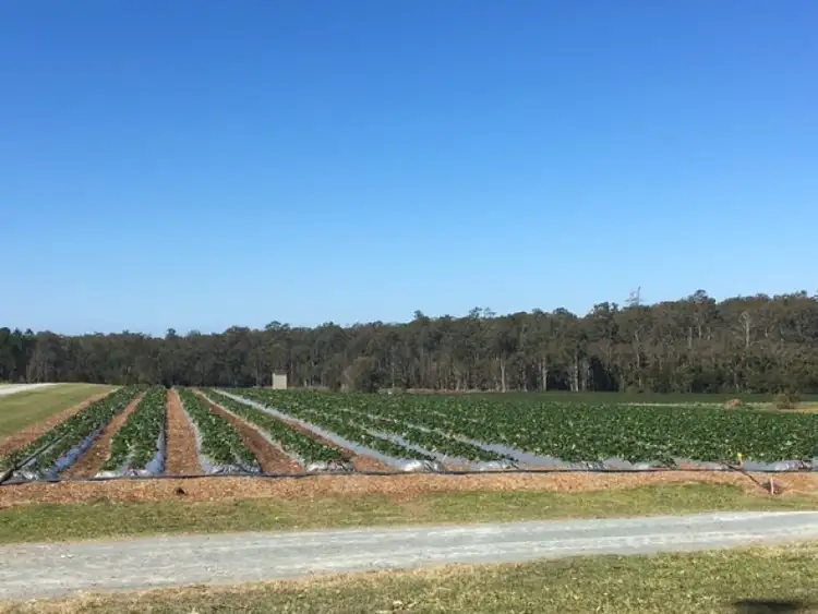 Seventh view of Homely house listing, 180 Stern Road, Bellmere QLD 4510