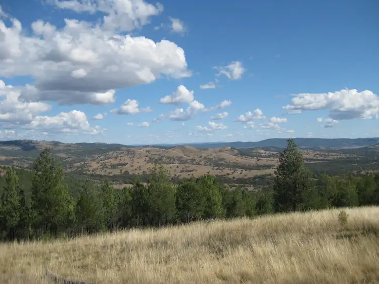 Third view of Homely rural property listing, 894 Reedy Creek Road, Silent Grove NSW 2372
