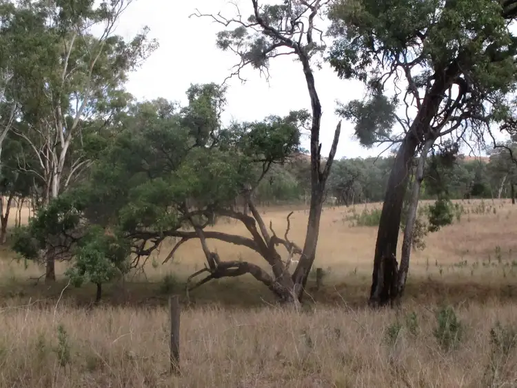 Fourth view of Homely rural property listing, 894 Reedy Creek Road, Silent Grove NSW 2372