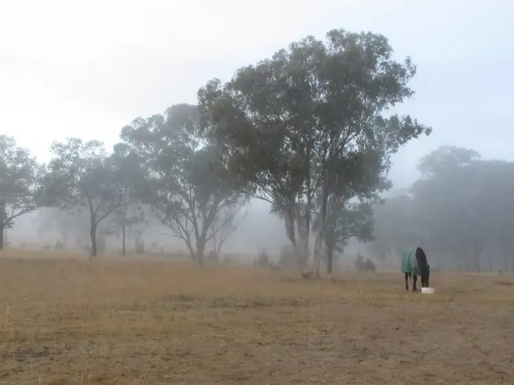Fifth view of Homely rural property listing, 894 Reedy Creek Road, Silent Grove NSW 2372