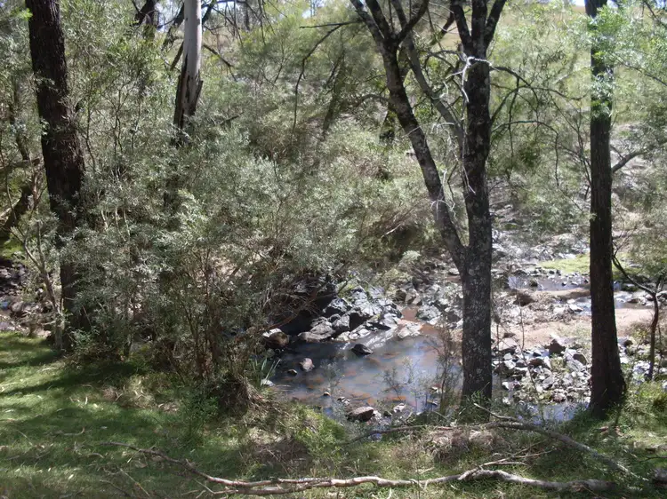 Sixth view of Homely rural property listing, 894 Reedy Creek Road, Silent Grove NSW 2372