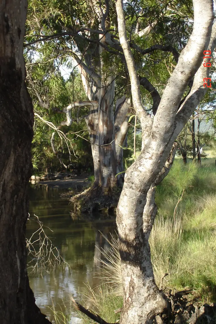 Seventh view of Homely rural property listing, 894 Reedy Creek Road, Silent Grove NSW 2372