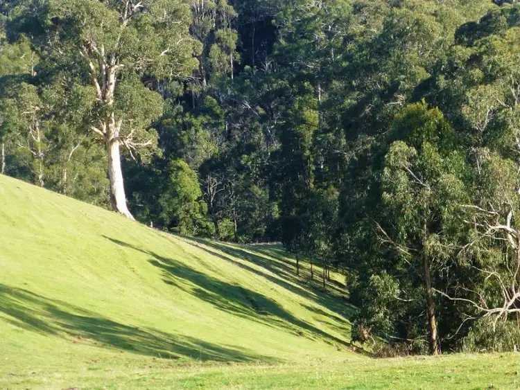 Third view of Homely land listing, 65 Parker Road, Gembrook VIC 3783