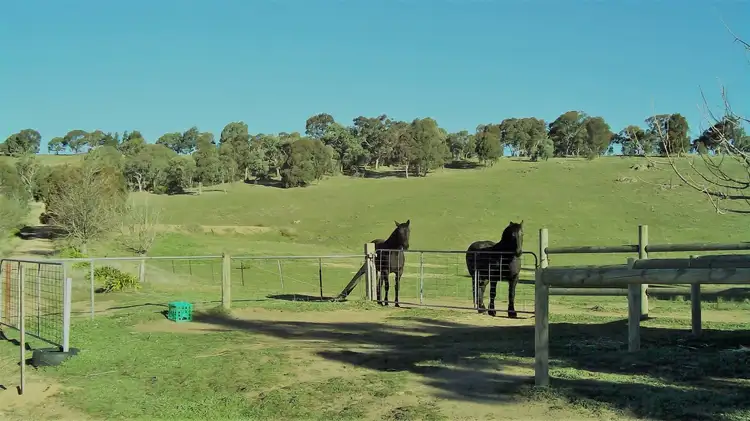 Seventh view of Homely rural property listing, 358 Spring Gully Road, Huon Creek VIC 3691