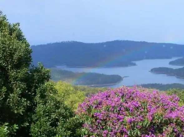 Fifth view of Homely land listing, 14 Loop Road, Lower Beechmont QLD 4211