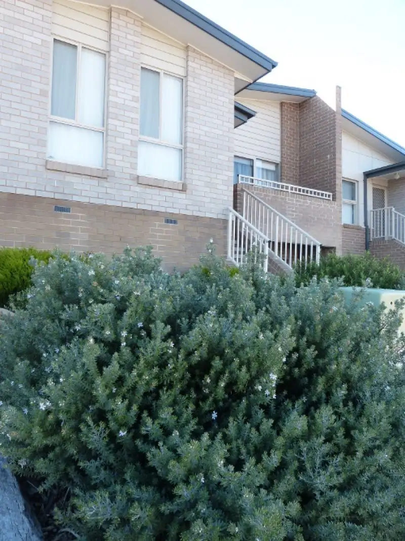 Main view of Homely house listing, 12 Mick Shann Terrace, Casey ACT 2913