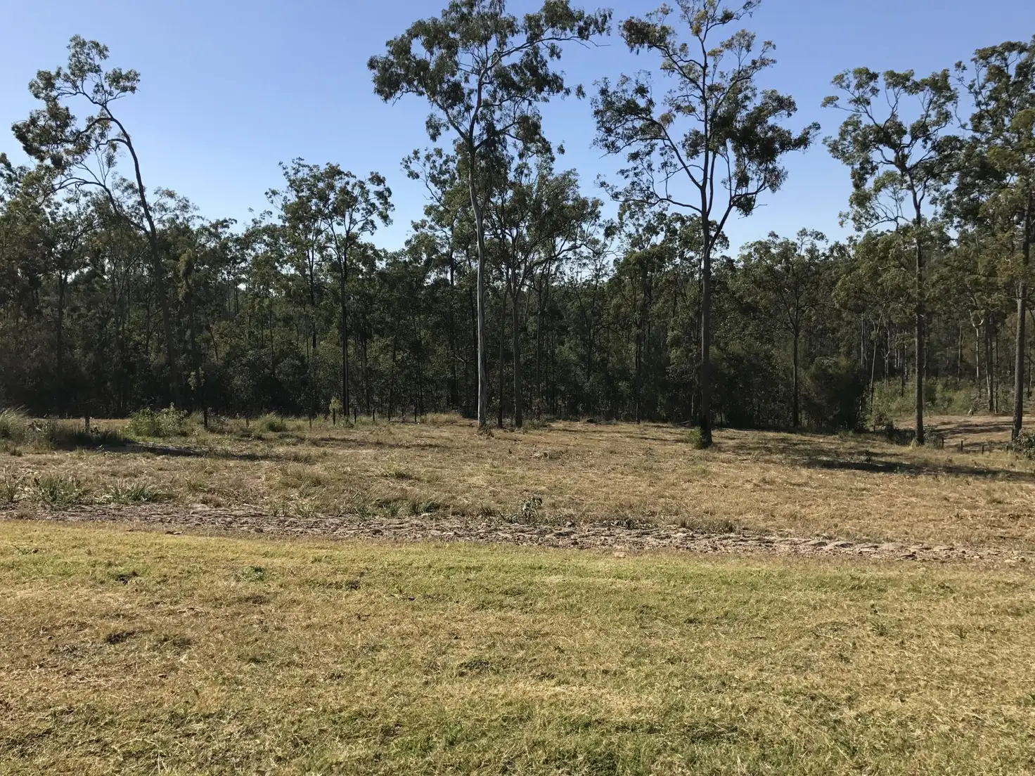 Main view of Homely land listing, 208 Timber Ridge Rd, New Beith QLD 4124
