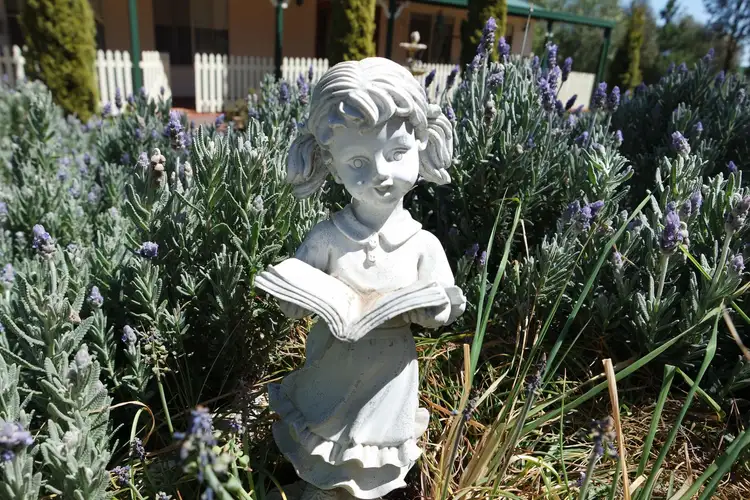 Second view of Homely rural property listing, Address available on request