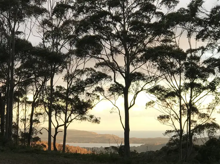 Second view of Homely house listing, 56 Pittam Way, Denmark WA 6333