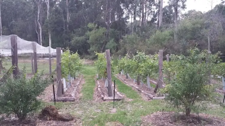 Second view of Homely rural property listing, 36 Margaret Dr, Bimbimbie NSW 2536