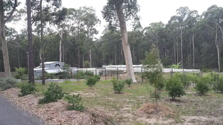 Fourth view of Homely rural property listing, 36 Margaret Dr, Bimbimbie NSW 2536