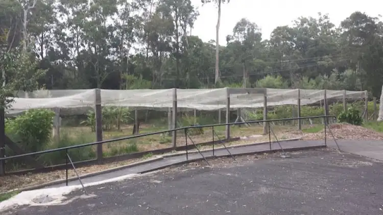 Fifth view of Homely rural property listing, 36 Margaret Dr, Bimbimbie NSW 2536