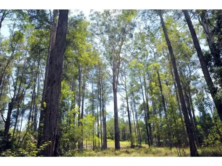 Sixth view of Homely land listing, 56 Forest Ridge Drive, Doonan QLD 4562