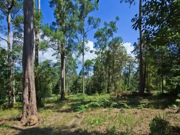 47 Forest Acres Drive, Lake Macdonald QLD 4563