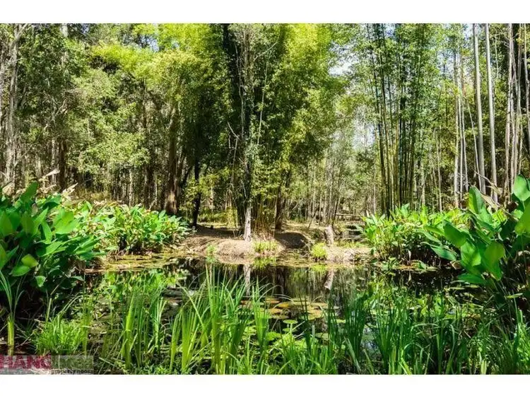 Second view of Homely house listing, 47 Killawarra Road, Lake Macdonald QLD 4563