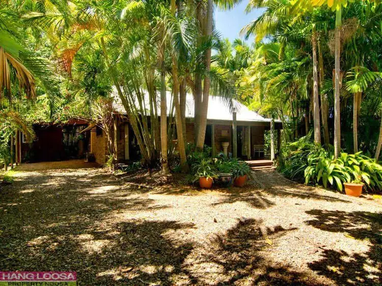 14 Hall Court, Tewantin QLD 4565