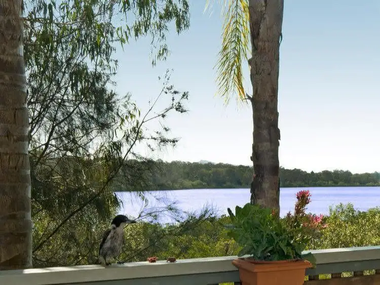 38 Goodchap Street, Noosaville QLD 4566